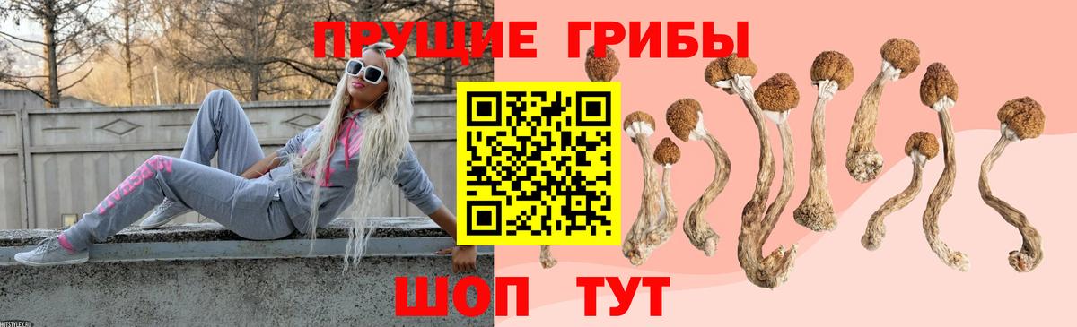 Якутск  Галлюциногенные грибы Psilocybe  Вход с VPN  продажа наркотиков  Галлюциногенные грибы ЛСД 